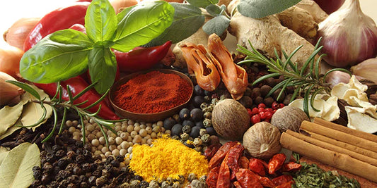 All the Ways Herbs & Plants Have Benefited My Life