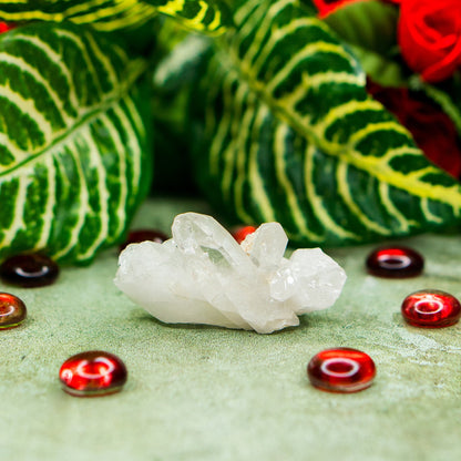 Crystal Benefits Adorned In Taji Clear Quartz