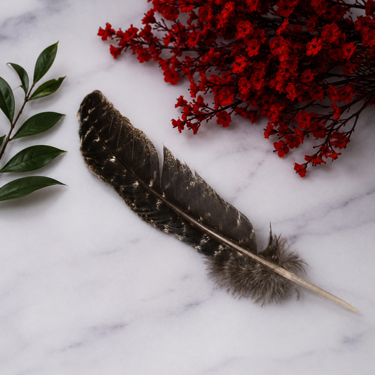 Smudge Feather